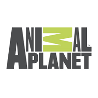 Animal Planet